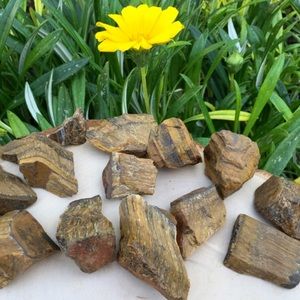 🚫SOLD🚫Tiger’s Eye Raw Stones